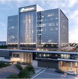 2D Animation Company